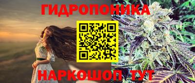 Альфа ПВП Будённовск