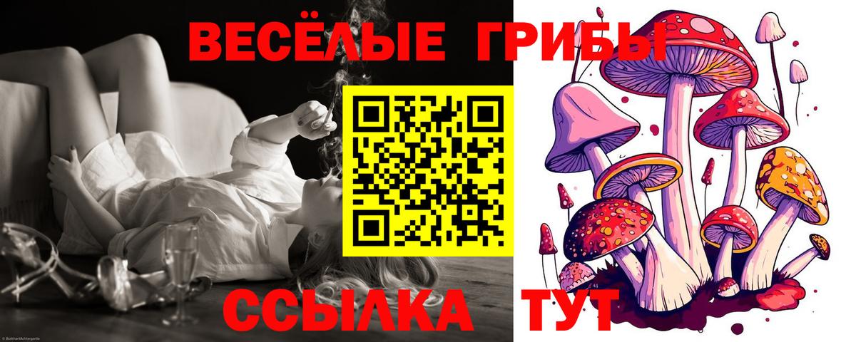 Тихорецк  Галлюциногенные грибы ЛСД  Вход с VPN 