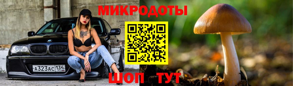 Псилоцибиновые грибы прущие грибы Тихорецк